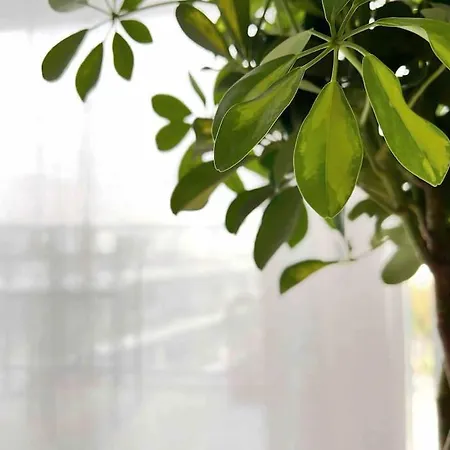 L'imperti'nantes Nantes