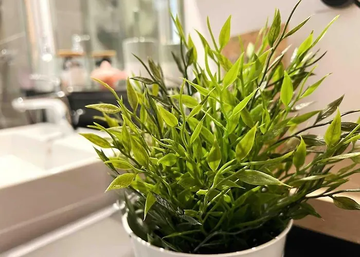 Apartmán L'imperti'nantes Nantes