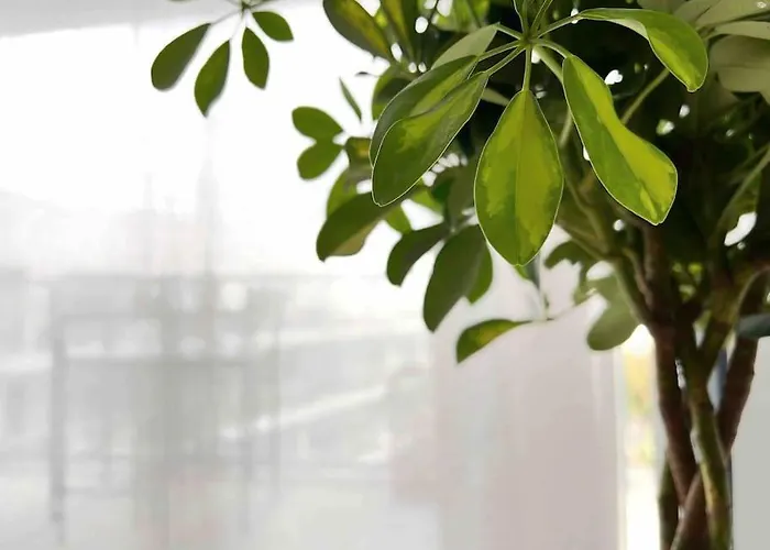 L'imperti'nantes Nantes